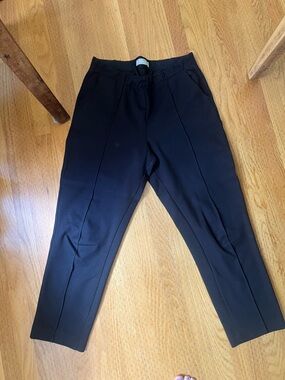 Everlane Black Tailored Ponte Tapered Pants